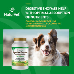 NaturVet Probiotics dog digestive soft chews on hand, convenient daily dosing
