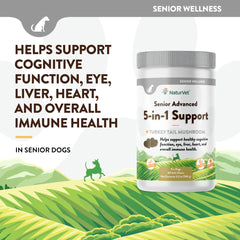 NaturVet Senior Advanced 5-in-1 gingko biloba image highlighting cognitive function support