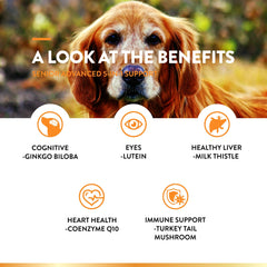 NaturVet Senior Advanced 5-in-1 lutein image signaling eye health and oxidative support