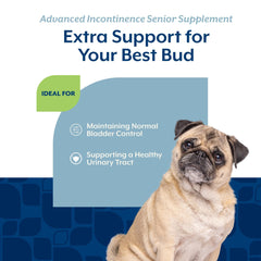 NaturVet Senior dog bladder-control soft chews on label: supplements for improved urination comfort.