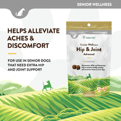 NaturVet Senior Wellness hip joint chew in action supports mobility during play