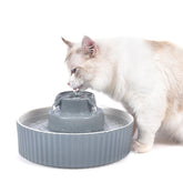 NautyPaws ceramic cat fountain shows the smooth glaze and 2.1 L capacity for pet hydration