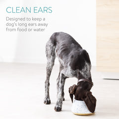 Navaris no-spill ceramic bowl reduces mess during dog's meals.