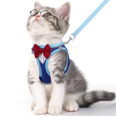 NCMAMA cat vest harness blue S front view demonstrates comfortable fit for daily walks.