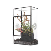 NCYP glass enclosure with front-opening door offers easy access for feeding.