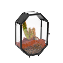NCYP mini glass terrarium octagon view showcases compact desktop decor for succulents and tiny insects