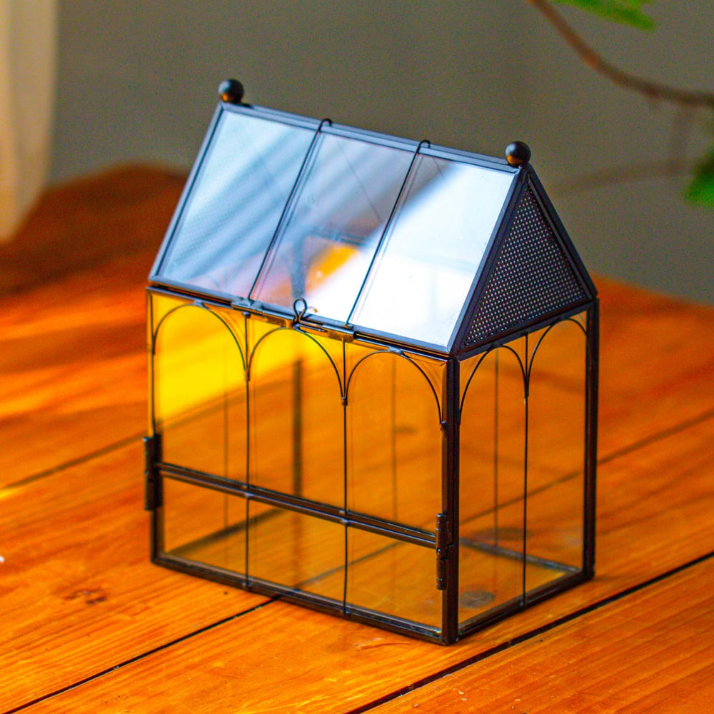 NCYP small glass terrarium front view, compact habitat for tiny pets.