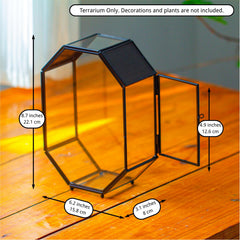 NCYP terrarium dimensions 6-2 by 3-1 by 8-7 inches for compact spaces