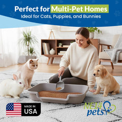 NE14pets KittyGoHere open top view emphasizes unobstructed surroundings for calmer cats.