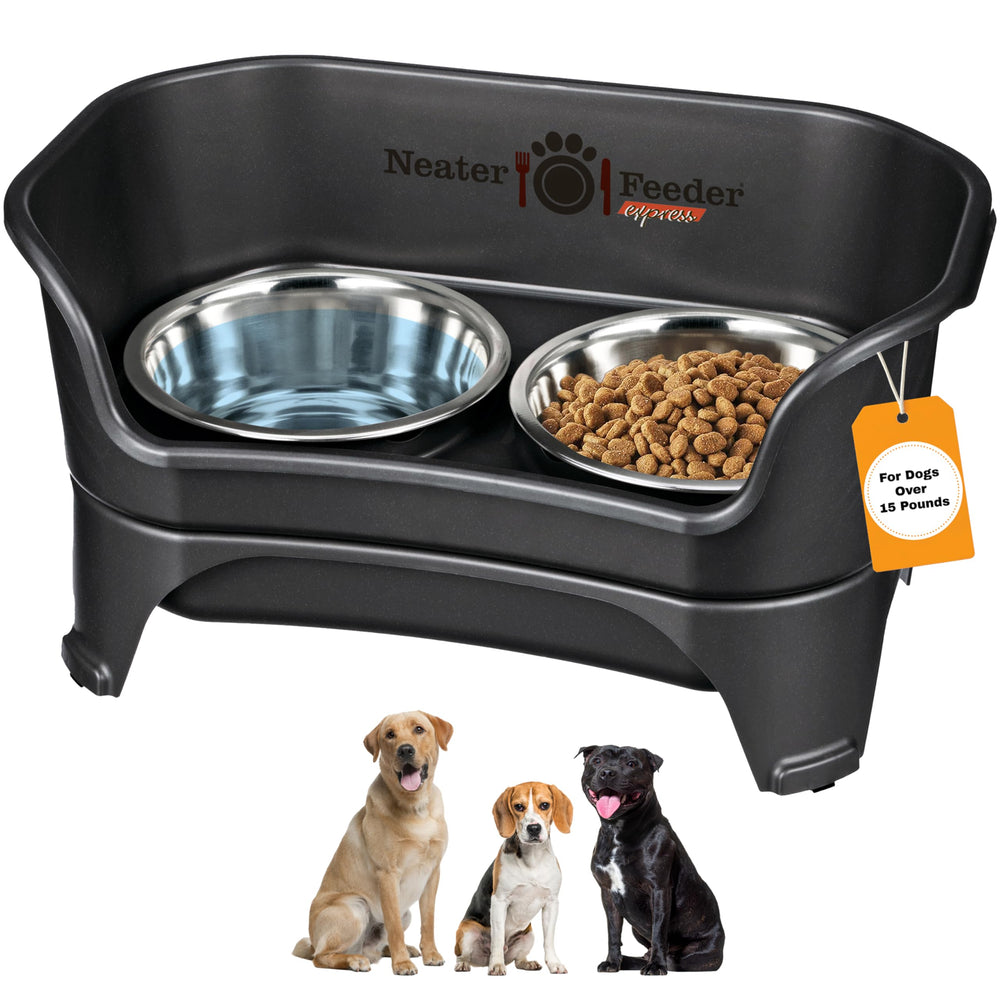 Neater Feeder Express mess-proof stand with bowls to keep feeding area clean.