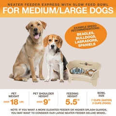 Neater Feeder Express with non-slip feet keeps bowls steady during meals.