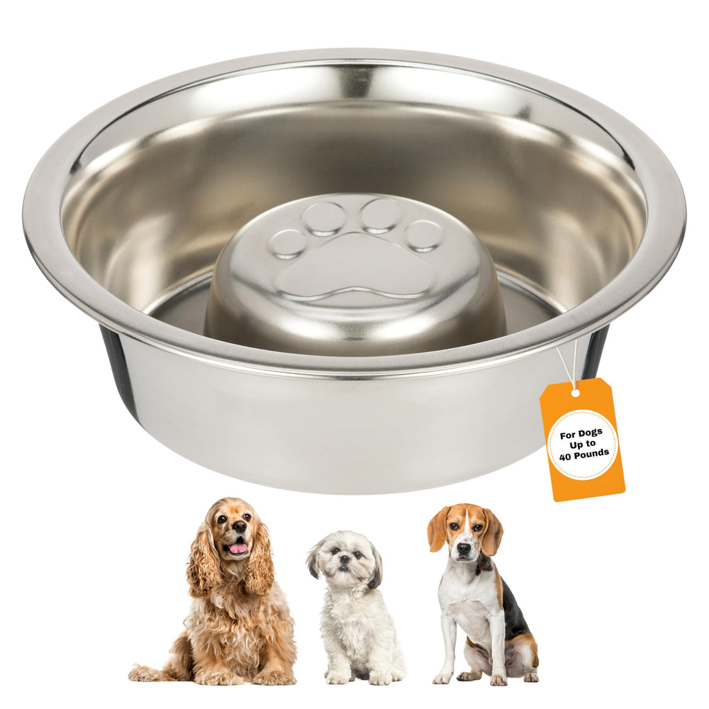 Neater Pet Brands plato lento de acero inoxidable dentro del Neater Feeder Deluxe Medium