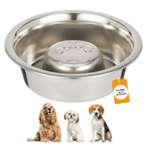Neater Pet Brands plato lento de acero inoxidable dentro del Neater Feeder Deluxe Medium