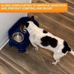 Uso con comida seca o húmeda gracias al bol lento de Neater Pet Brands