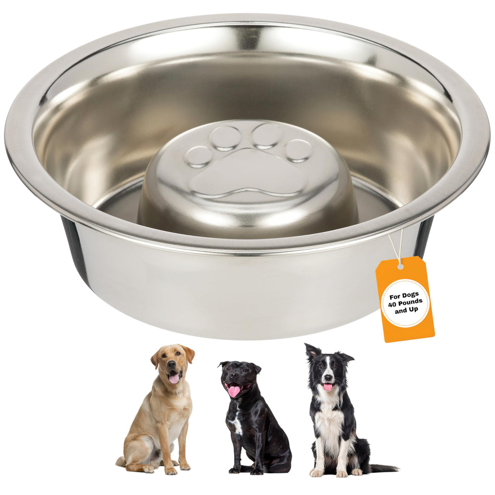 Neater Pet Brands stainless steel slow-feed dog bowl highlighted in durable design for controlled eating sessions.