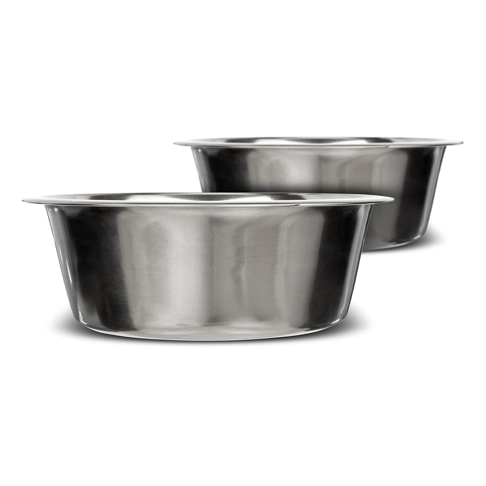 Neater Pet Brands two stainless steel dog bowls on floor for everyday meals.