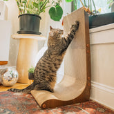 NECOICHI Cardboard Scratcher Wall curved-floor view highlighting loungeable scratching comfort