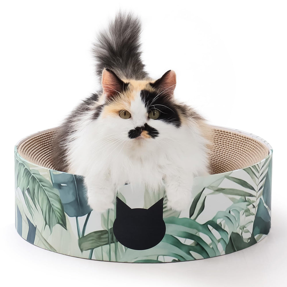 NECOICHI cat scratcher bowl front view for cozy lounging and scratching