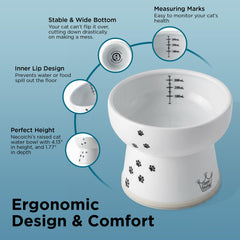 NECOICHI raised cat water bowl non-slip-ring prevents spills during busy mealtimes