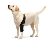 NeoAlly dog elbow brace front view on left leg shows overall fit and stance support.