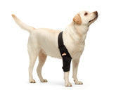 NeoAlly dog elbow brace right small front view for secure support during daily activity.