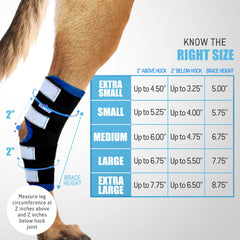NeoAlly dog leg brace with reflective straps improves dark visibility and safety.