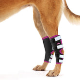 NeoAlly dog rear leg braces curve-design fit supports hind hock comfort
