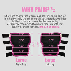 NeoAlly dog rear leg braces soft neoprene lining reduces rubbing