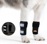 NeoAlly front leg brace for dogs and cats stabilizes movement during activity.