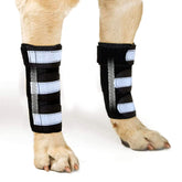 NeoAlly front leg brace pair assembly demonstrates modular support for pet mobility.