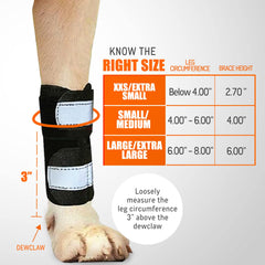 NeoAlly front leg brace reflective straps improve nighttime visibility.