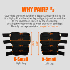 NeoAlly hock brace curve fit screenshot demonstrating comfortable alignment with the dog’s joint.