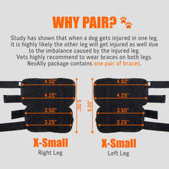 NeoAlly neoprene hock brace with skin-friendly lining for comfort.