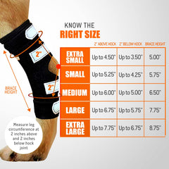 NeoAlly neoprene lining provides breathable, skin-friendly comfort during long wear.