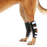 NeoAlly rear leg hock brace long version packaged for convenient home use.