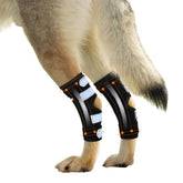NeoAlly rear leg hock brace close-up shows metal spring strips for supported movement.