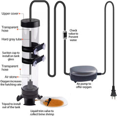NestBasics check valve and air stone illustrating precise oxygen delivery for hatch timing.