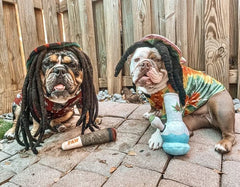 Nestpark Doggy Doobie, juguete peluche para perros grandes, soporta mordidas intensas y entretenimiento prolongado.