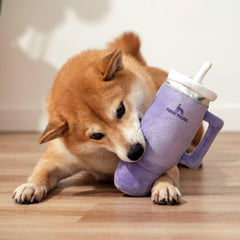 Nestpark squeaky crinkle dog toy enhances engagement during fetch.