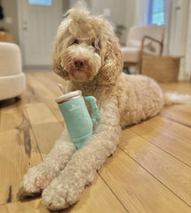 Nestpark Tumbler Dog Toy - inner mesh durability reduces easy tearing.