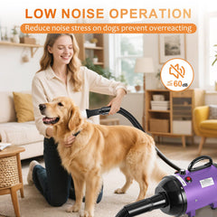 NestROAD dog dryer temperature control protects pets during drying