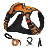 NestROAD No Pull Harness side-dressing design for quick, stress-free on/off.