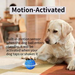 NETRCO IP54 waterproof dog ball image emphasizing indoor and outdoor use and rain-ready fun.