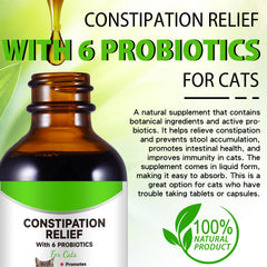 Netwik probiotics six strains label highlights gut-supporting ingredients for cats.
