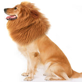 NEWBEA Lion Mane dog costume front view shows plush fur for head-turning Halloween looks.