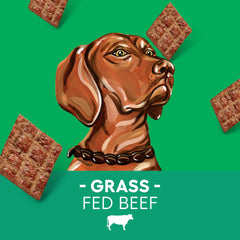 Newman's Own Jerky Treats close-up shows chewy beef squares for rewards.