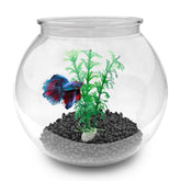 Newpol Mini Aquarium Bowl front view shows compact desk-friendly design for small spaces