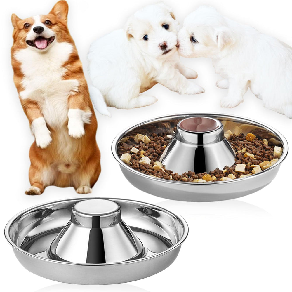 Nexboraque puppy bowl 10in front view shows sturdy stainless steel with slow-feed design.