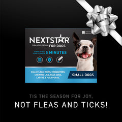 NEXTSTAR applying drops to a dog's skin for easy, monthly flea and tick prevention.