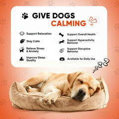 NHWHDJH hemp calming chews chicken-flavor treats ease tense moments during vet visits.